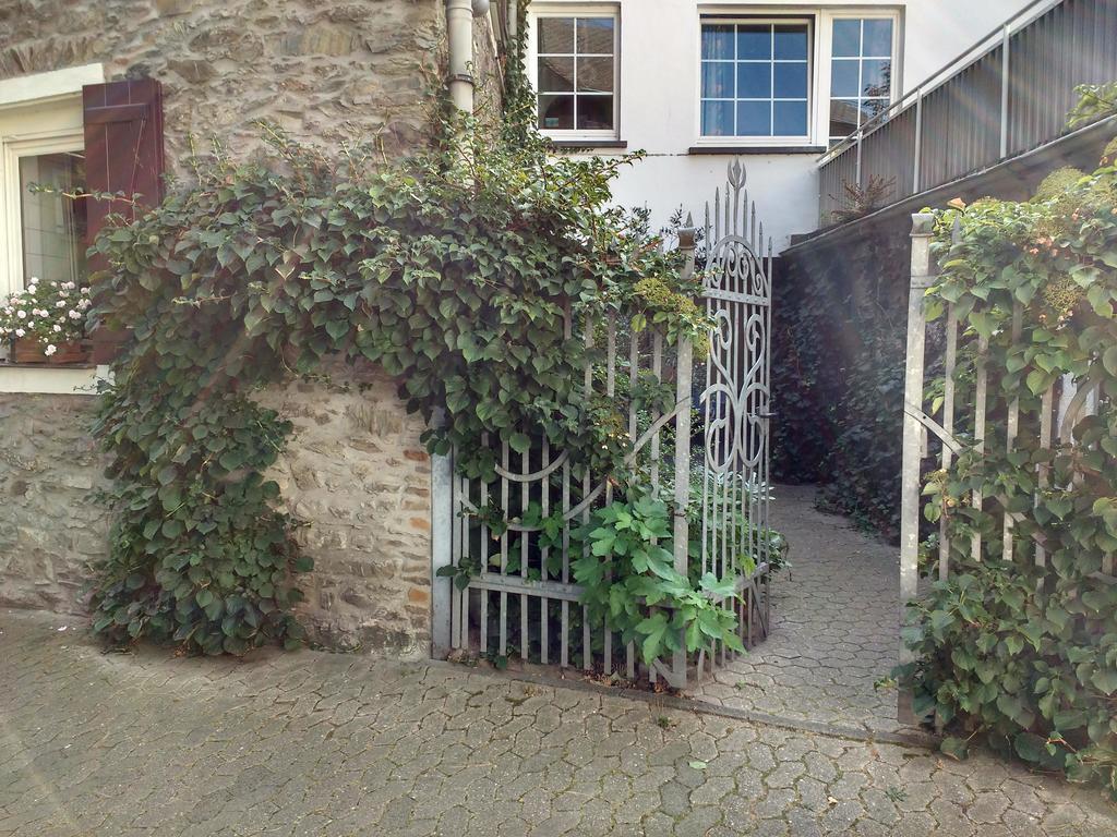 Hotel Garni Altes Winzerhaus Moselschaenke Kobern-Gondorf Bagian luar foto
